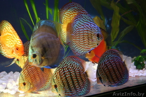 Новые решения в дизайне #971362