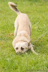 Джонни хочет домой!!! #998540