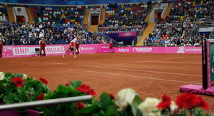 Строительство теннисных & сквош кортов #998350