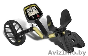 Металлоискатель напрокат профессиональный #993587