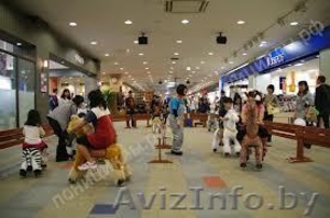 Верховая езда на понициклах #997436