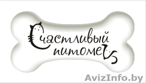 Стрижка собак,  кошек,  лошадей #991162