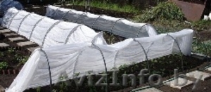 Парник (Теплица)