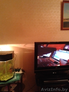 сдам квартиру в молодечно на сутки, часы #1013947