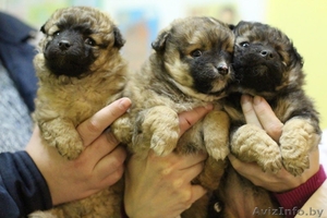ЛЮДИ помогите детям,  ведь в новый год должны происходить чудеса.... #1006330