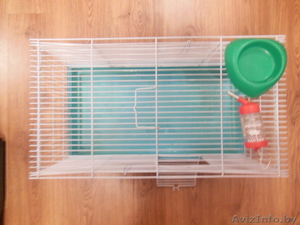 продается клетка размером 60*35*35 #1005448