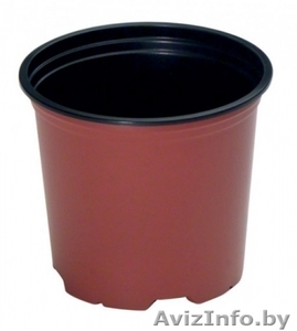 Горшки для рассады #1004759
