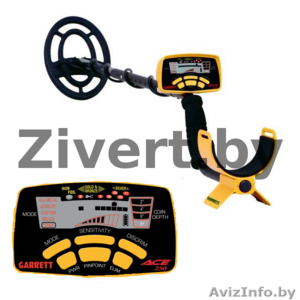 Аренда прокат металлоискателей в Минске #1019079