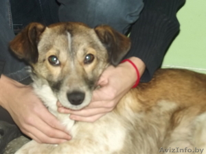 СОС! ребенок погибает на улице,  не понимает что нельзя прыгать под машины #1016901