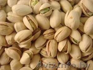качественные фисташка #1027991