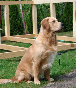 Предлагаю #1025326