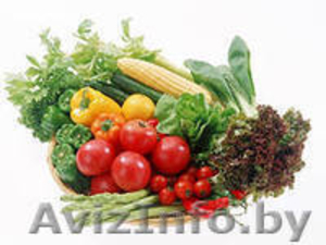 теплицы для садоводов #1025062