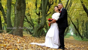 Видеосъемка,  видеоператор,  видеограф,  свадьба,  выпускной,  реклама #883919