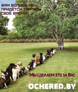 Займём очередь! Постоим за Вас! #1021984