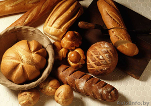 Курсы Пекарь-Тестовод #1019787