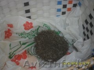 АВТО ПО НИЗКИМ ЦЕНАМ #1025182