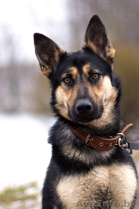 Красавица Наоми в добрые руки #1042306