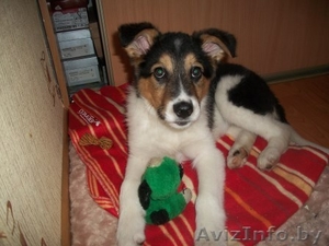 Найда в самые хорошие ручки #1041927