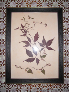 Картины. Флористика. #1034397