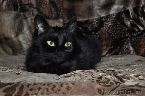 ЭЛИС ОЧЕНЬ ХОЧЕТ НАЙТИ СВОЙ ДОМ #1039760