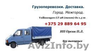 ИП Орсик П.Л. грузоперевозки #1032295