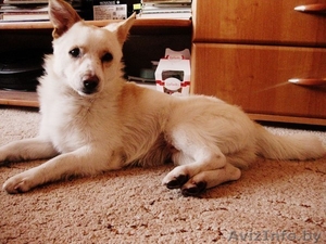 Обаятельный малыш в дар #1046544