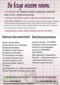 щеночки в дар надежным людям #1039568