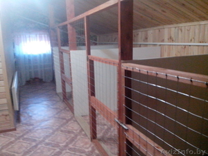 Гостиница для собак Floston-dog #1033586