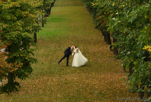 Фото и видеосъемка незабываемых минут Вашей свадьбы. Выезд в регионы.  #837651