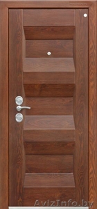 Двери Металлические