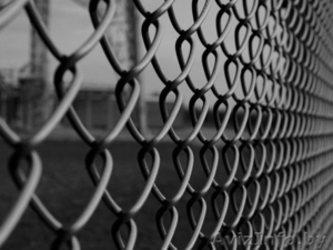 Сетка Рабица,  столбы,  проволока #1043916