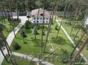 Покос травы, валка деревьев,  вырубка кустарников #1056836