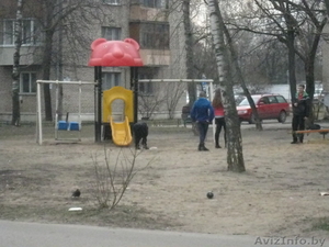 Недорогая 2-комнатная квартира #1063442