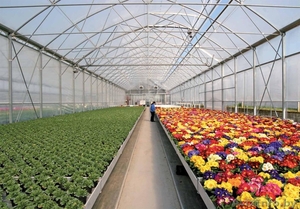 Культивационные столы для выращивания рассады. #1053929