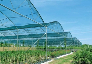 Структура затенения( сетка для затенения) #1053954