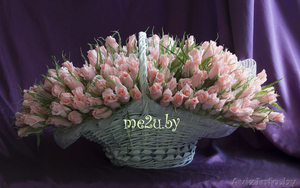 Букет из конфет от Студии  #1080352