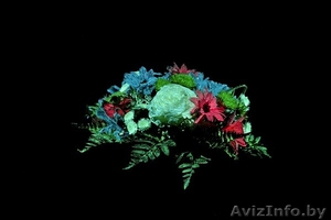 Каталог франшиз   #1074099