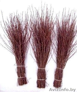 веники (метлы) березовые #1067149