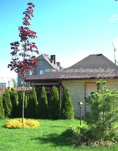 Ландшафтный дизайнер,  которого Вы ищете! #1072327