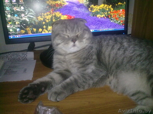 настольный  компьютер бу #1089650