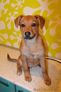 Озорная и еще совсем юная девочка Милена в дар! #1091141