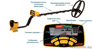 Прокат металлоискателей #1092916