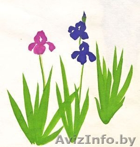 НаучИтесь онлайн рисовать акварелью или гуашью вместе с вашим ребенком. #1095404