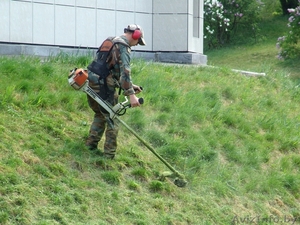 Покос травы #1091443