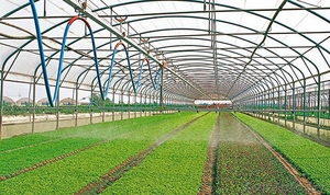 Автоматическая верхняя оросительная перекладина #1083501