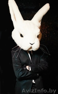 Изготовление объемных костюмов,  реквизита  #1102369