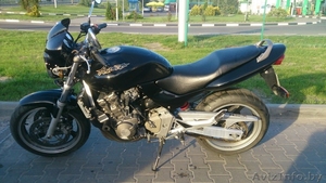 honda cd600 hornet #1102948