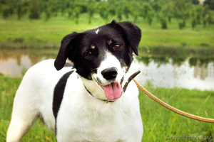 Кареглазая красотка В ДАР! #1103707