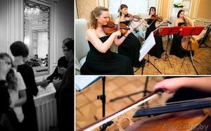 Струнный Квартет  #1100329