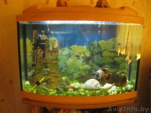 Аквариум (60л.) #1112062
